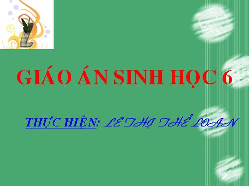 Bài 20. Cấu tạo trong của phiến lá