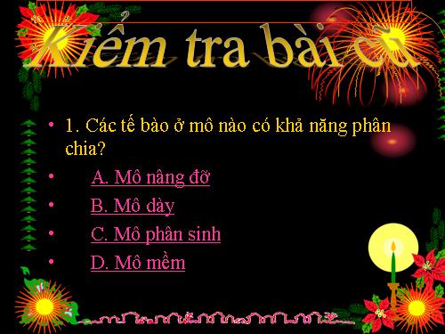 Bài 9. Các loại rễ, các miền của rễ