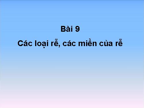 Bài 9. Các loại rễ, các miền của rễ