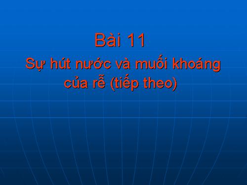 Bài 11. Sự hút nước và muối khoáng của rễ