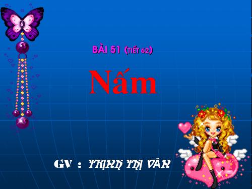 Bài 51. Nấm