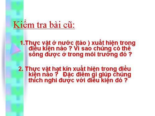 Bài 45. Nguồn gốc cây trồng