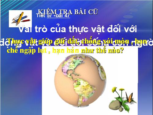 Bài 48. Vai trò của thực vật đối với động vật và đối với đời sống con người