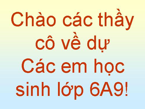 Bài 44. Sự phát triển của giới Thực vật