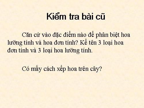 Bài 30. Thụ phấn