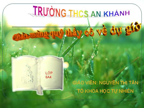 Bài 42. Lớp Hai lá mầm và lớp Một lá mầm