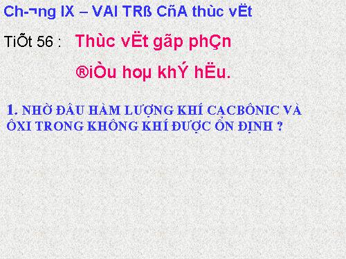 Bài 46. Thực vật góp phần điều hoà khí hậu