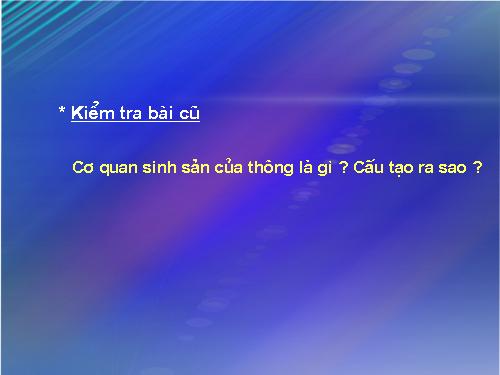 Bài 41. Hạt kín - Đặc điểm của thực vật Hạt kín