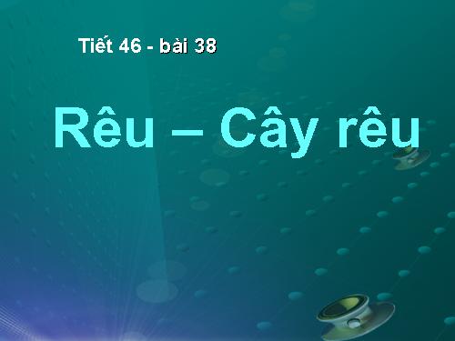 Bài 38. Rêu - Cây rêu