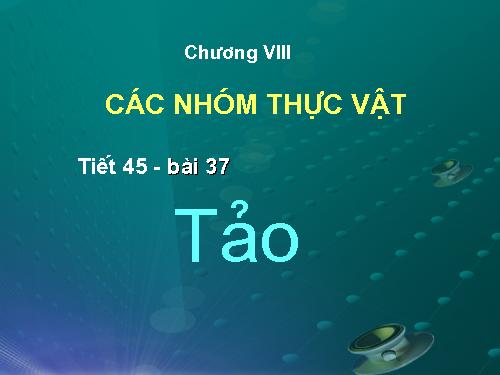 Bài 37. Tảo