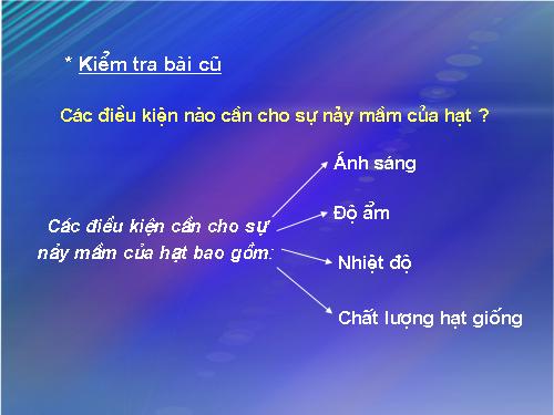 Bài 36. Tổng kết về cây có hoa