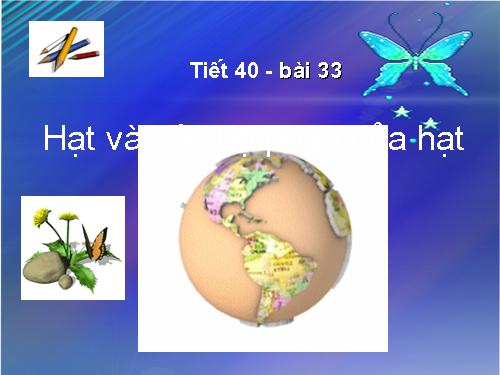 Bài 33. Hạt và các bộ phận của hạt