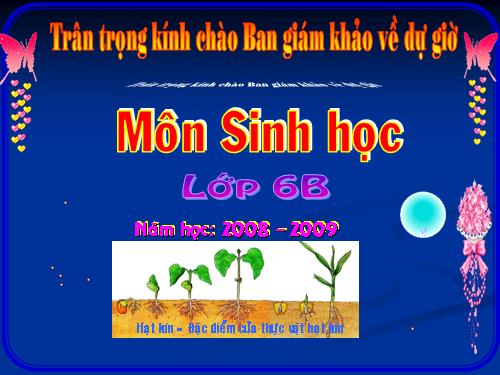 Bài 41. Hạt kín - Đặc điểm của thực vật Hạt kín