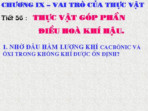 Bài 46. Thực vật góp phần điều hoà khí hậu