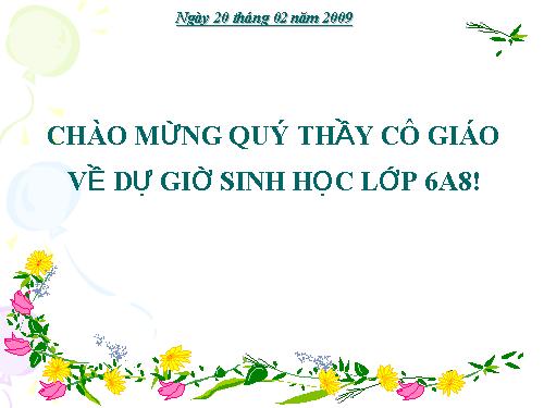 Bài 39. Quyết - Cây dương xỉ