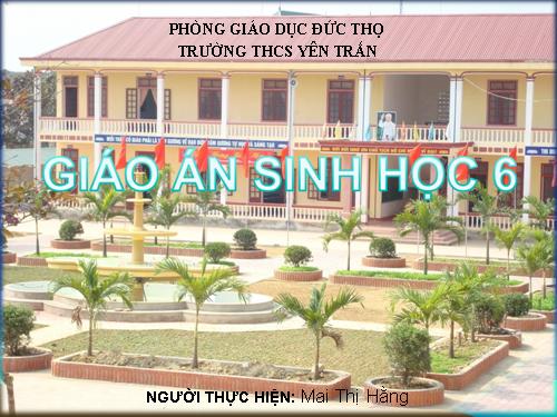 Bài 45. Nguồn gốc cây trồng