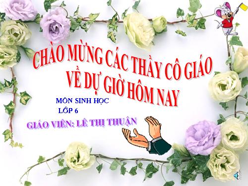 Bài 17. Vận chuyển các chất trong thân