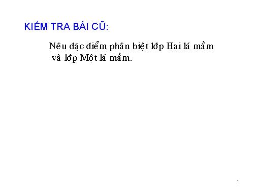 Bài 43. Khái niệm sơ lược về phân loại thực vật