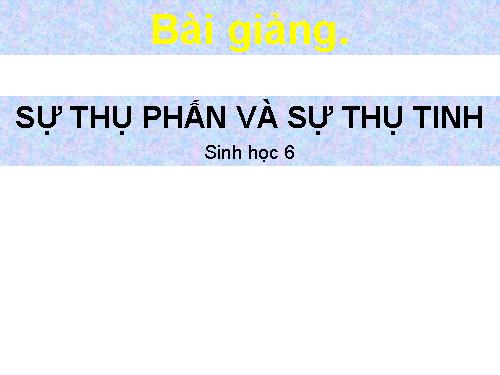 Bài 30 Thụ phấn