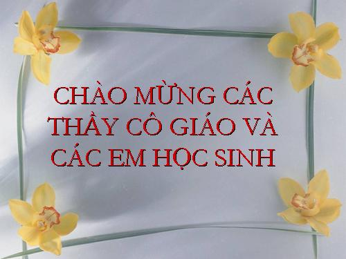 Bài 40. Hạt trần - Cây thông