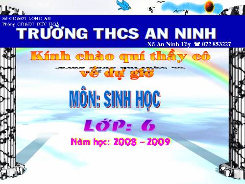 Bài 26. Sinh sản sinh dưỡng tự nhiên