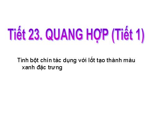 Bài 21. Quang hợp