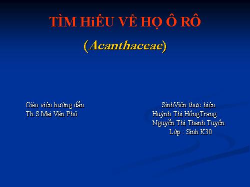 Họ cây ô rô