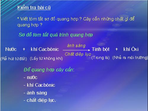 Bài 22. Ảnh hưởng của các điều kiện bên ngoài đến quang hợp, ý nghĩa của quang hợp