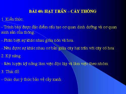 Bài 40. Hạt trần - Cây thông