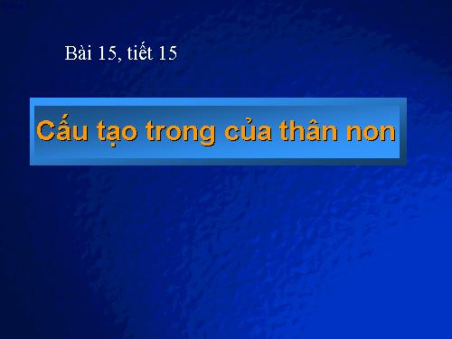 Bài 15. Cấu tạo trong của thân non