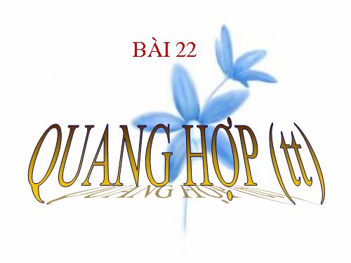 Bài 21. Quang hợp