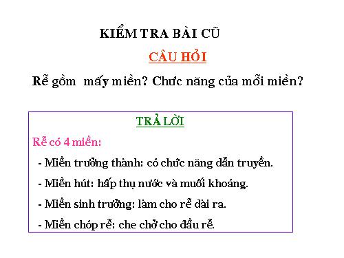 Bài 10. Cấu tạo miền hút của rễ