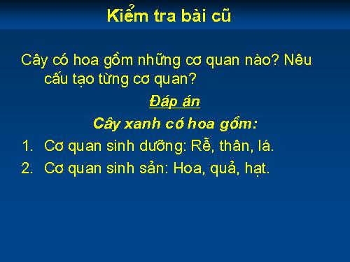 Bài 41. Hạt kín - Đặc điểm của thực vật Hạt kín