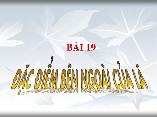 Bài 19. Đặc điểm bên ngoài của lá