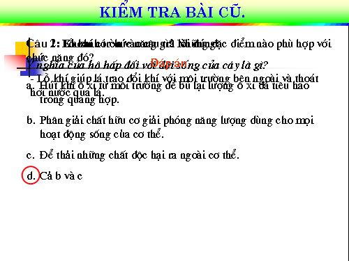 Bài 24. Phần lớn nước vào cây đi đâu?