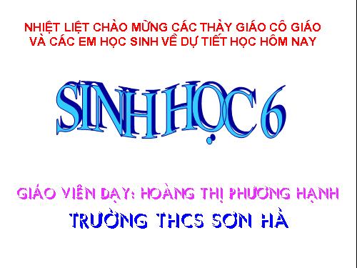 Bài 26. Sinh sản sinh dưỡng tự nhiên