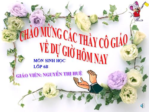 Bài 17. Vận chuyển các chất trong thân