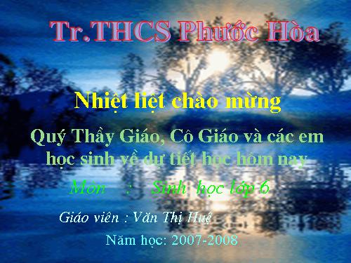 Bài 48. Vai trò của thực vật đối với động vật và đối với đời sống con người