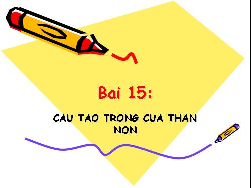 Bài 15. Cấu tạo trong của thân non