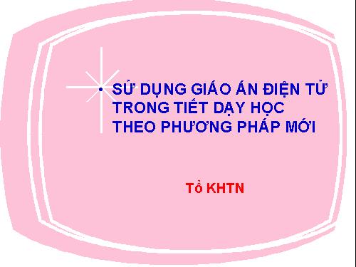 SKKN SỬ DỤNG GIÁO ÁN ĐIỆN TỬ TRONG TIẾT DẠY SINH HỌC 08-09