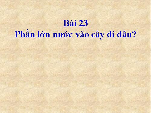 Bài 24. Phần lớn nước vào cây đi đâu?