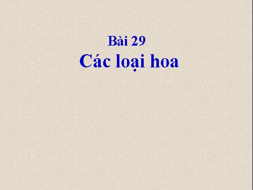 Bài 29. Các loại hoa