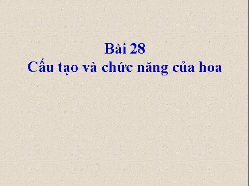 Bài 28. Cấu tạo và chức năng của hoa