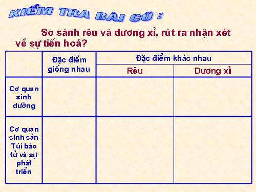 Bài 40. Hạt trần - Cây thông