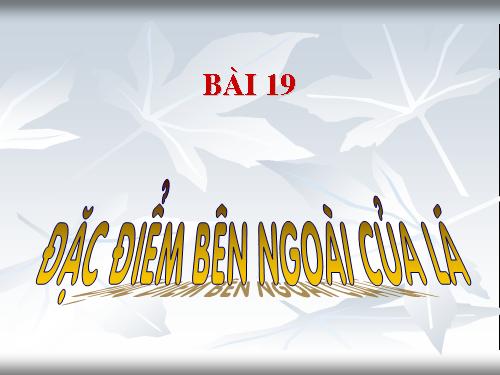 Bài 19. Đặc điểm bên ngoài của lá