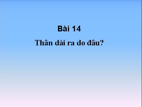 Bài 14. Thân dài ra do đâu ?