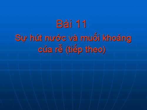 Bài 11. Sự hút nước và muối khoáng của rễ