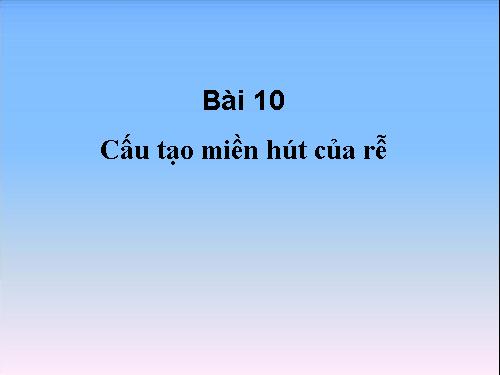 Bài 10. Cấu tạo miền hút của rễ