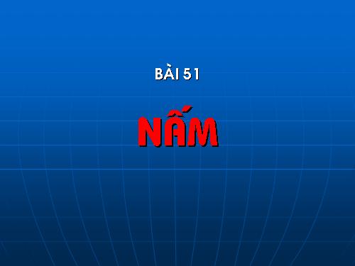 Bài 51. Nấm