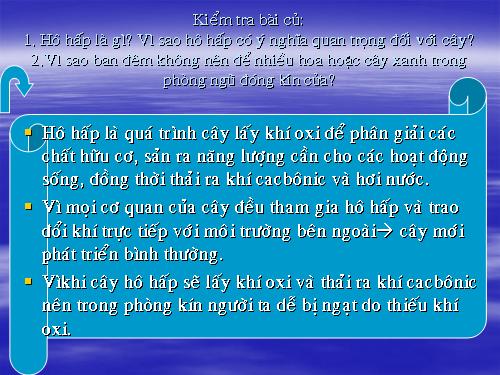 Bài 24. Phần lớn nước vào cây đi đâu?